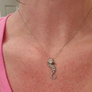 Sterling Silver Seahorse on 16" chain